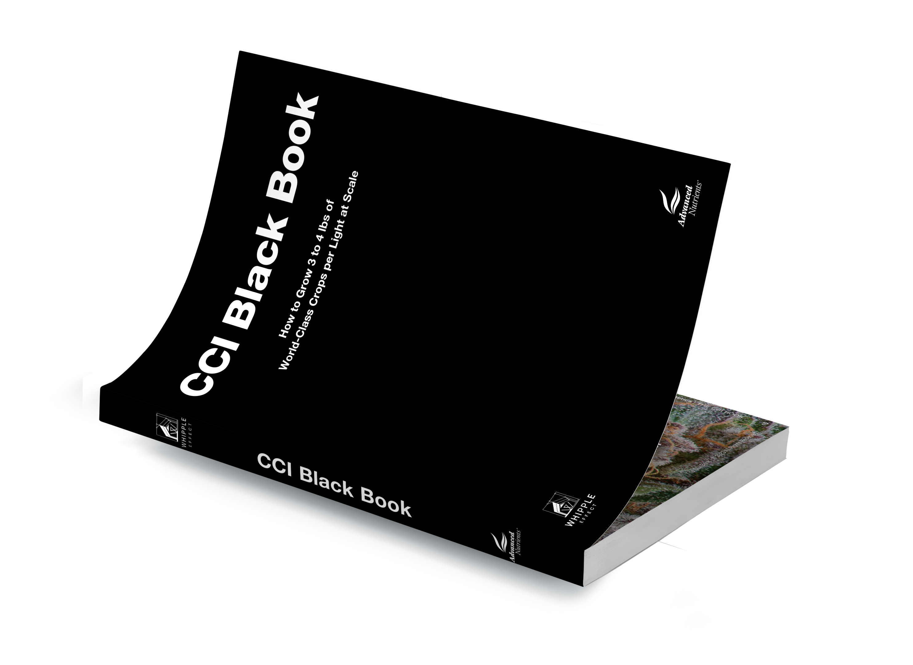 CCI Black Book + 4 FREE Downloads